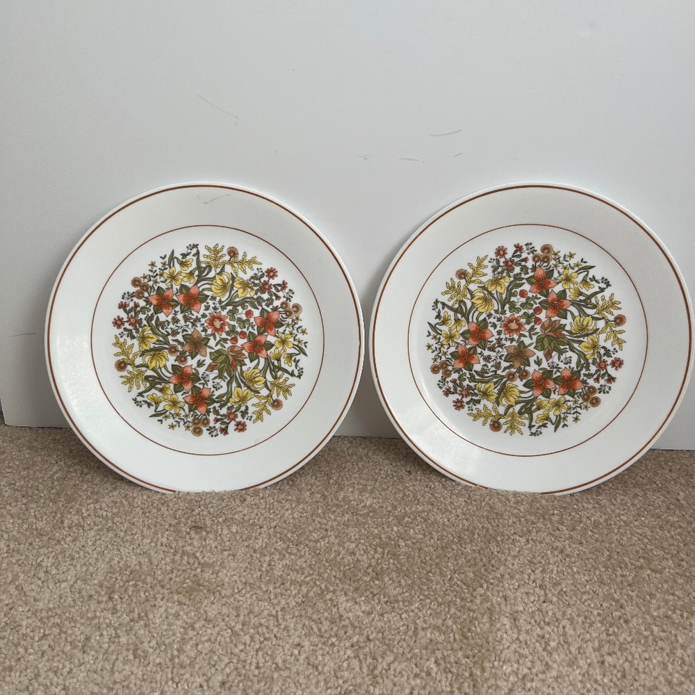 Lot of 2 Vintage Corelle Indian Summer Dinner Plates